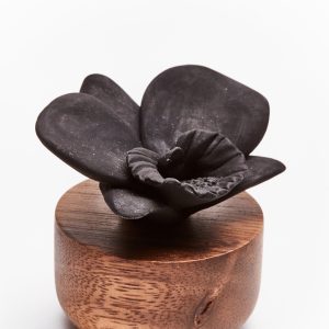 Дифузер ORCHIDEE DU NEPAL