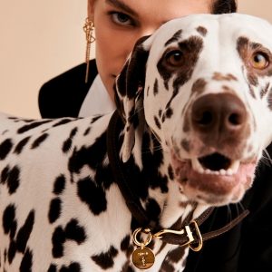 Бижу P D PAOLA медальон " B "