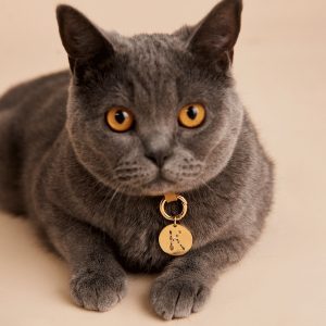 Бижу P D PAOLA медальон " K "