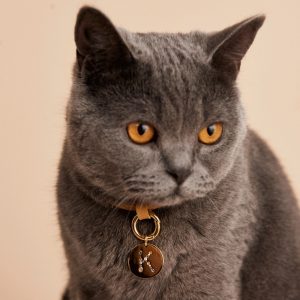 Бижу P D PAOLA медальон " K "